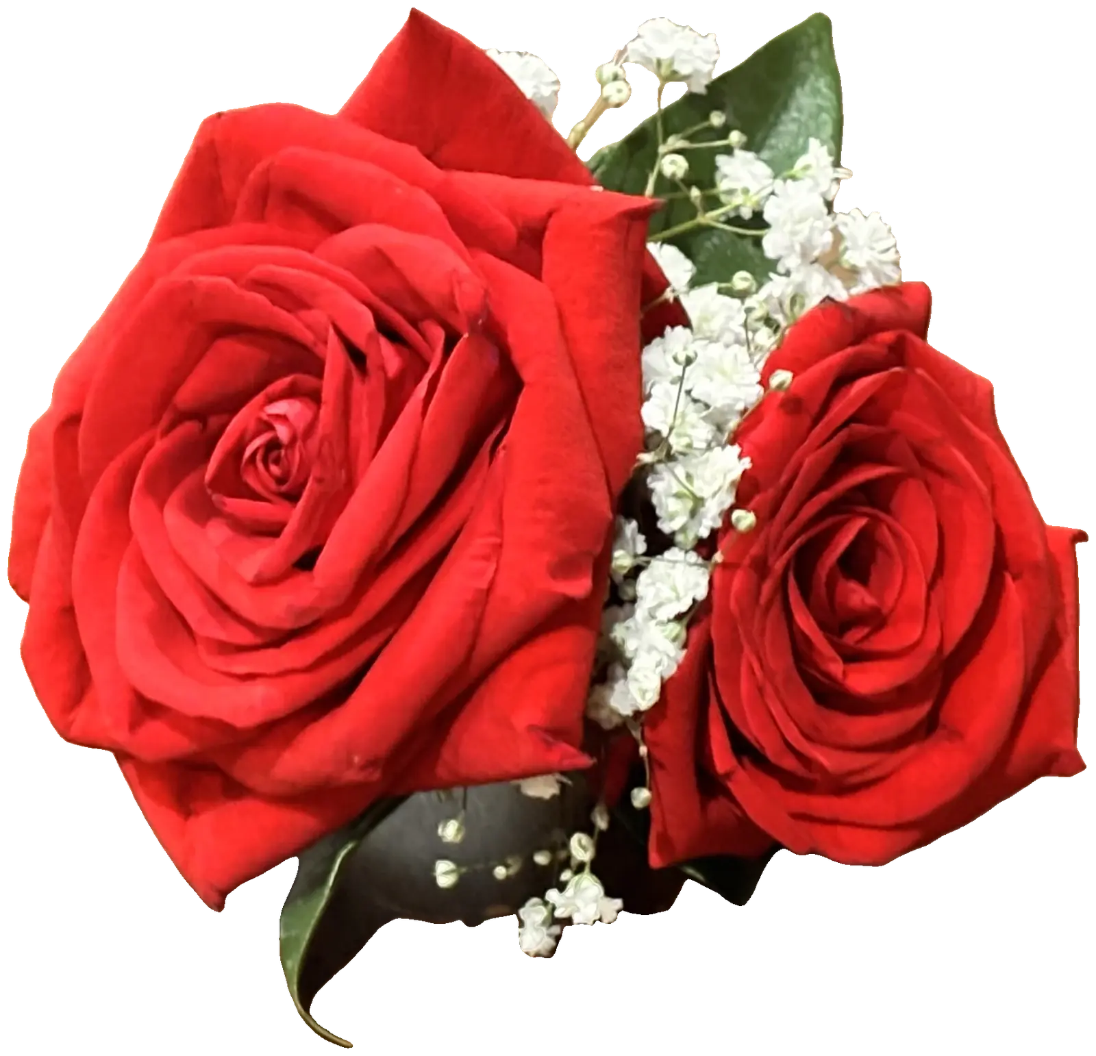 Red rose wrist corsage with baby's breath